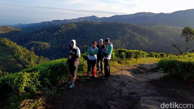 Kawasan Kebun Teh Kaligua Desa Pandansari, Kecamatan Paguyangan, Brebes, Jawa Tengah, memiliki spot yang indah untuk berswafoto. Tempat itu adalah puncak Sakub yang memiliki ketinggian 2050 mdpl dan berhawa dingin.