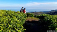 Beberapa dari mereka bahkan membawa anak dan cucunya. (Imam Suripto/detikcom)