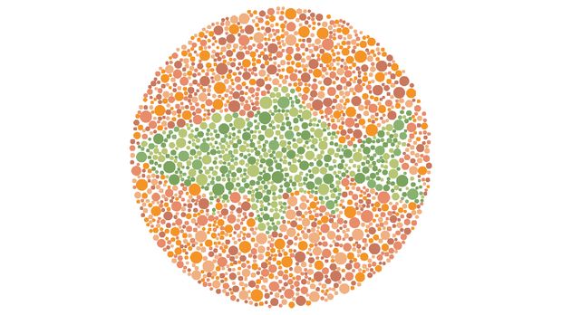 Tes buta warna detikHealth.