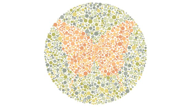 Tes buta warna detikHealth.