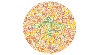 Bisa Lihat Semua Hewan di Sini? 10 Tes Buta Warna Ini Bikin Banyak Orang Salah Fokus! Bisa Lihat Semua Hewan di Sini? 10 Tes Buta Warna Ini Bikin Banyak Orang Salah Fokus!