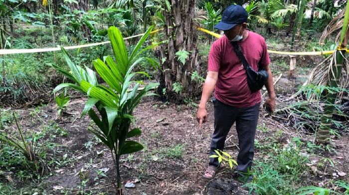 Wanita di Riau Dibunuh