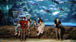 Ada Aksi Edukasi Selamatkan Laut di Sea World Ancol