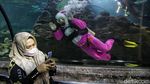 Ada Aksi Edukasi Selamatkan Laut di Sea World Ancol