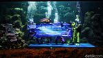 Ada Aksi Edukasi Selamatkan Laut di Sea World Ancol
