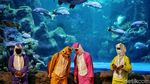 Ada Aksi Edukasi Selamatkan Laut di Sea World Ancol