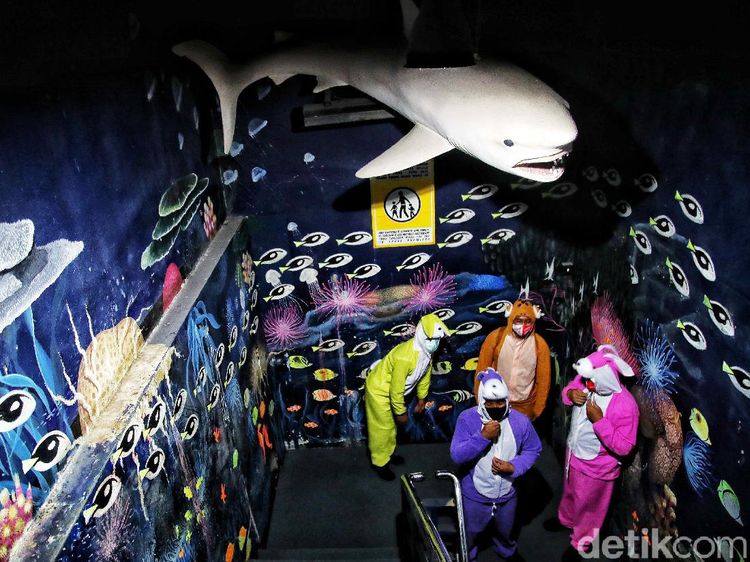 Ada Aksi Edukasi Selamatkan Laut di Sea World Ancol