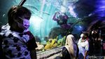 Ada Aksi Edukasi Selamatkan Laut di Sea World Ancol