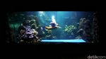 Ada Aksi Edukasi Selamatkan Laut di Sea World Ancol