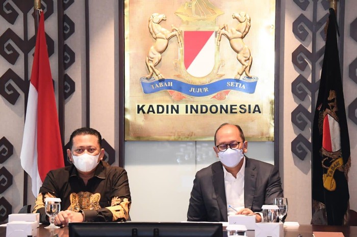 Bambang Soesatyo