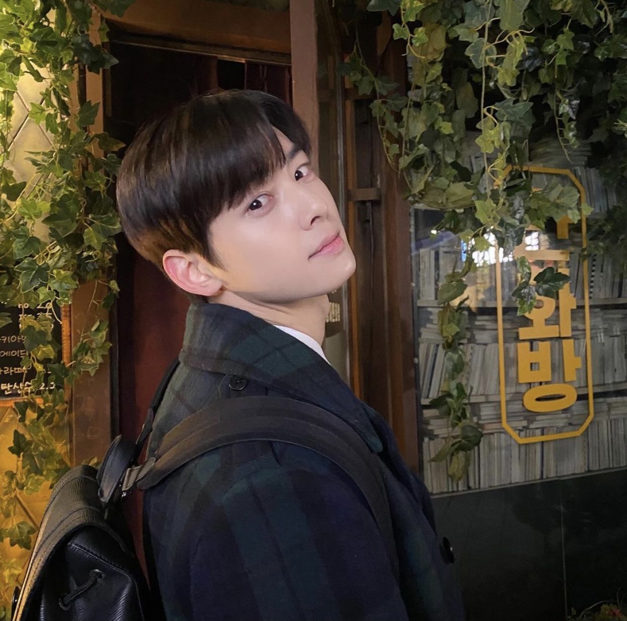 Cha Eun Woo