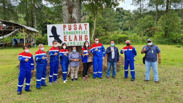 Dok: Pertamina
