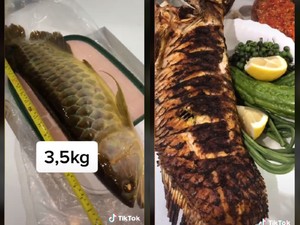 Uang Jajan Dikurangi, Wanita Ini Tetap Bisa Makan Mewah Ikan Arwana Bakar
