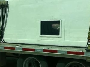 Kagetnya Wanita Ini, Lihat Ada Hiu di Jalan Tol