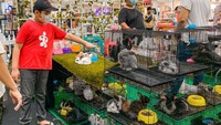Acara ini diharapkan dapat menjadi alternatif kegiatan masyarakat urban untuk mengisi waktu di masa pandemi dengan kegiatan positif, kreatif, bermanfaat dan menguntungkan. Foto: dok. Ciputra