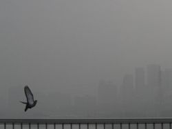 Kota Seoul Kenapa Jadi Berdebu Begini!