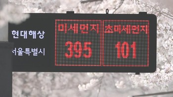 Konsentrasi debu halus ini melebihi 800 mikrogram per meter kubik. Pohon-pohon sakura pun jadi berdebu (Yonhap News Agency)