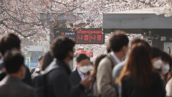 Waarga Kota Seoul mencoba beraktivitas seperti biasa di kawasan Yeouido yang semestinya indah dengan pohon-pohon sakura (Yonhap News Agency)
