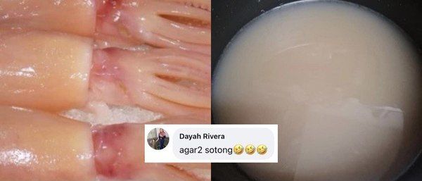 Niat Buat Sambal Cumi, Wanita Ini Malah Masak Agar-agar Cumi