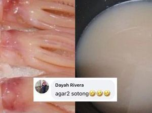 Niat Buat Sambal Cumi, Wanita Ini Malah Masak Agar-agar Cumi