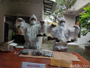 156 Unggas Positif Flu Burung dan 14 Telur Busuk Asal Taiwan Dimusnahkan