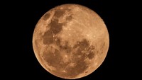 Bulan purnama tampak terlihat jelas dari Jakarta. (Foto: Andhika Prasetia/detikcom)