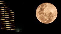 Bulan berotasi pada porosnya sekitar 27 hari. Bulan juga diketahui berevolusi pada bumi sekitar 29 hari. (Foto: Andhika Prasetia/detikcom)