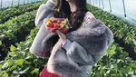 Menjalin Cinta dengan Rayn Wijaya, Ini Momen Ranty Maria saat Petik Strawberry