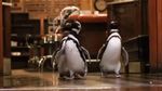 Foto: Trio Penguin yang Asyik Kunjungi Restoran