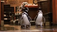 Saat pandemi penggunaan sampah plastik meningkat. Hal ini bisa berdampak pada habitat penguin. Karena gerakan ini tiga penguin mengucap terima kasih kepada restoran Shaws Crab yang berpartisipasi dalam program pengurangan penggunaan plastik sekali pakai. (Shedd Aquarium/Instagram)