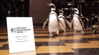 Chicago Restaurant Week berlangsung mulai 19 Maret hingga 4 April. Acara ini pun diikuti oleh hampir 300 restoran di Chicago yang menawarkan menu dengan harga spesial, tentunya tanpa penggunaan plastik. (Shedd Aquarium/Instagram)