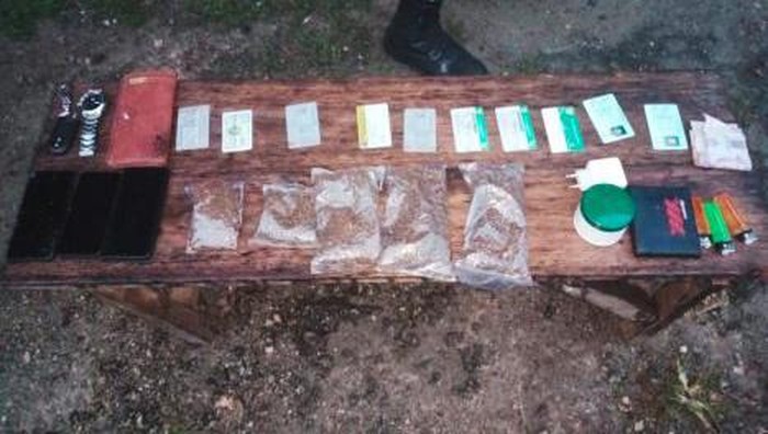 TNI sita ratusan gram ganja kering di perbatasan RI-Papua Nugini