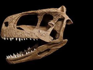 T-Rex  Tristan Otto Ternyata Menderita Infeksi Tulang Rahang