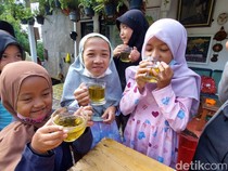 Video: Perbedaan Manfaat Kandungan Susu dan Daun Kelor