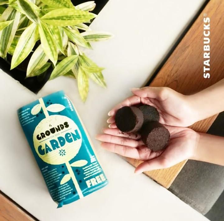 Jangan Dibuang! Ampas Kopi Bisa Dimanfaatkan Untuk Hal Penting Ini
