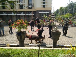 Gereja Santa Maria Tak Bercela Surabaya Disisir K9 Jelang Paskah