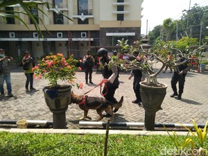 Gereja Santa Maria Tak Bercela Surabaya Disisir K9 Jelang Paskah
