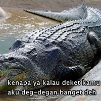 Kalau nggak deg-degan berarti detak jatungnya berhenti berdetak dong? Berarti mati dong? Foto: Instagram/@recehsosmed