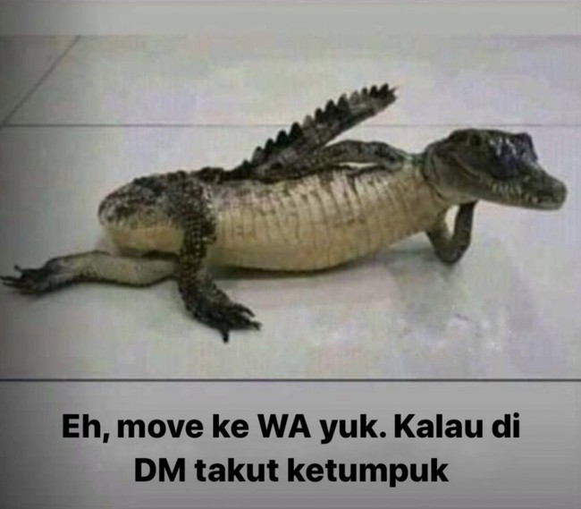 Ah bisa aja nih triknya biar dapet nomor WA. Emang berapa banyak sih pesan di DM nya sampai bisa ketumpuk? Foto: Instagram/@kocak_bareng2