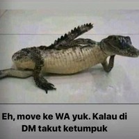 Ah bisa aja nih triknya biar dapet nomor WA. Emang berapa banyak sih pesan di DM nya sampai bisa ketumpuk? Foto: Instagram/@kocak_bareng2