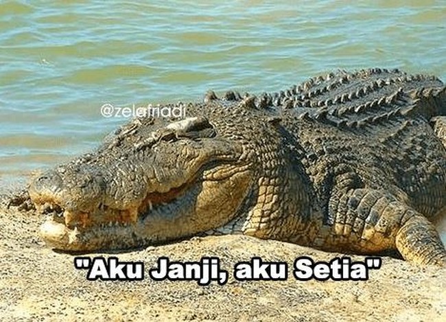 Pernah dengar kata-kata yang satu ini nggak? Eiits tapi perlu dipastikan dulu nih si doi setianya sama kamu saja atau sama yang lain juga.. Foto: Instagram/@zelafriadi_