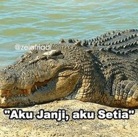 Pernah dengar kata-kata yang satu ini nggak? Eiits tapi perlu dipastikan dulu nih si doi setianya sama kamu saja atau sama yang lain juga.. Foto: Instagram/@zelafriadi_