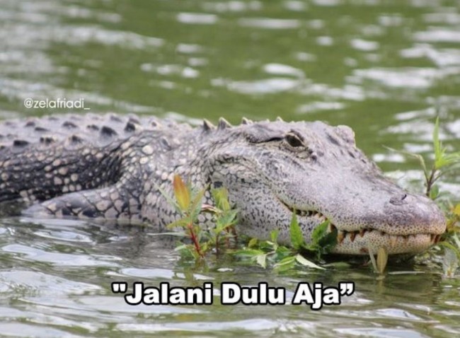 Yang namanya cewek ya butuh kepastian dong. Kata-kata gini nih yang bikin jadi auto pengin ngomong Basi! Foto: Instagram/@zelafriadi_