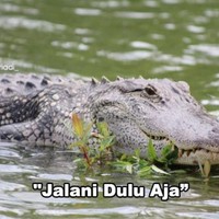 Yang namanya cewek ya butuh kepastian dong. Kata-kata gini nih yang bikin jadi auto pengin ngomong Basi! Foto: Instagram/@zelafriadi_