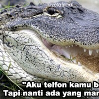 Cara ampuh buat memastikan kalau si doi masih single atau udah ada yang punya. Seberapa sering kamu dengar kata-kata kayak gini? Foto: Instagram/@zelafriadi_