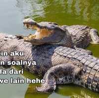 Kalo digombalin pakai kata-kata mau dari kamus buaya kayak gini kamu masih percaya nggak? Foto: Instagram/@zelafriadi_