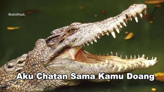 Pas ketemu sih di HP isi chatnya memang cuma sama kamu. Tapi pas pulang dan nggak ada kamu, yakin nggak nambah tuh yang ngechat? Foto: Instagram/@zelafriadi_