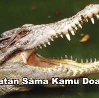 Pas ketemu sih di HP isi chatnya memang cuma sama kamu. Tapi pas pulang dan nggak ada kamu, yakin nggak nambah tuh yang ngechat? Foto: Instagram/@zelafriadi_