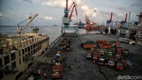 Kendati demikian, Direktur Kesehatan Masyarakat Veteriner, Direktorat Jenderal Peternakan dan Kesehatan Hewan (Ditjennak) Kementan Syamsul Maarif mengatakan, stok daging sapi dan kerbau masih aman dan cukup untuk memenuhi kebutuhan masyarakat Indonesia.  