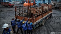 Berdasarkan data Badan Pusat Statistik (BPS) sejak tahun 2015, Australia semakin rajin mengimpor daging ke Indonesia 
